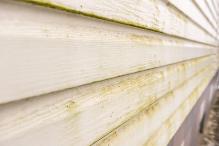 Why Pressure Washing Is Essential for Homes in Graysville's Humid Climate