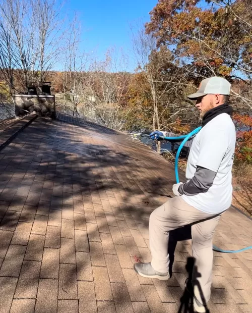 Roof Cleaning